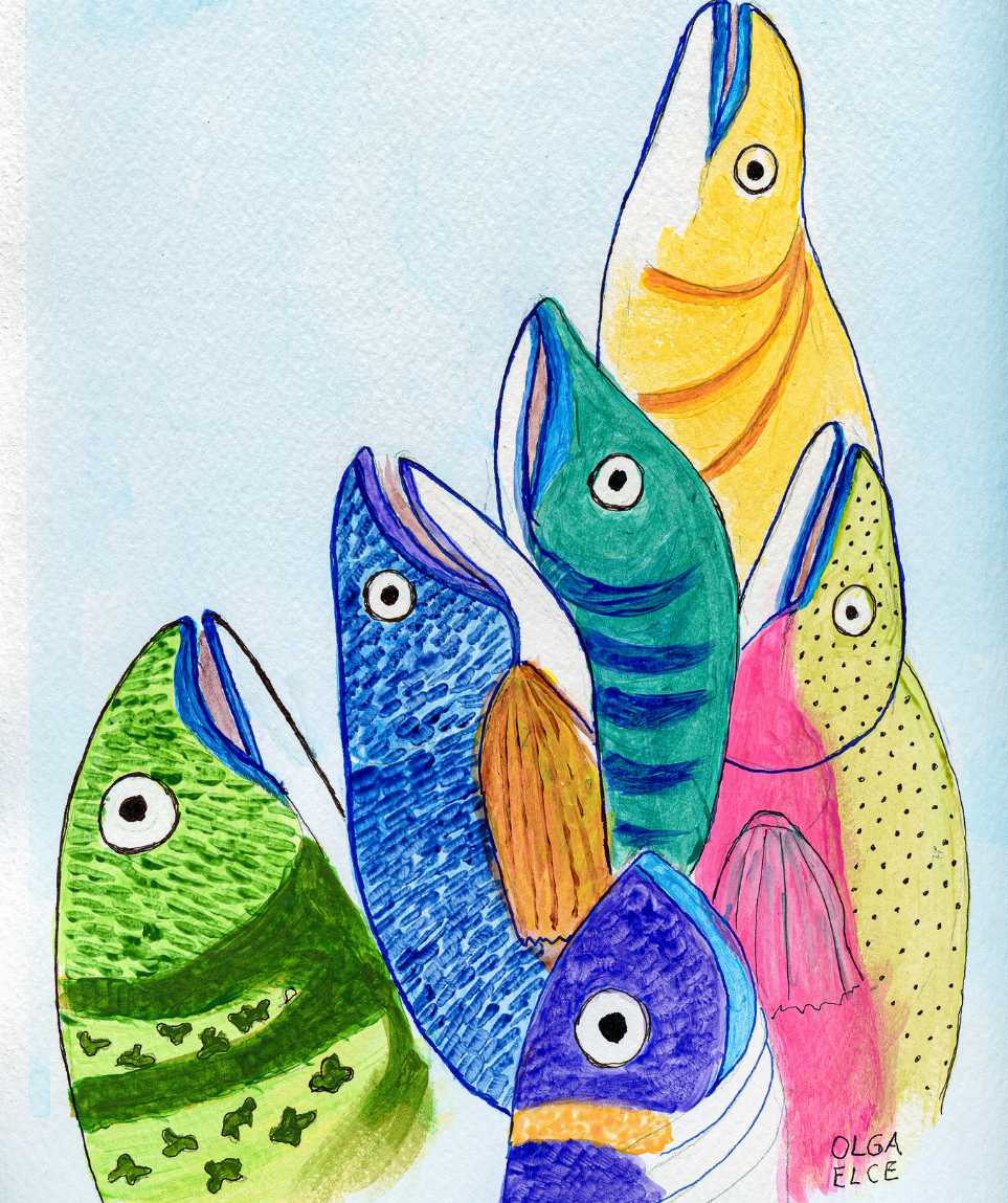 Peces de Colores