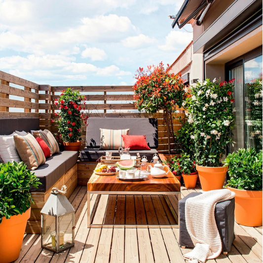 Creando Una Terraza