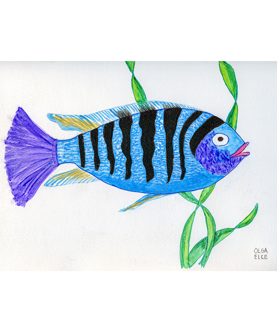 Pez Azul