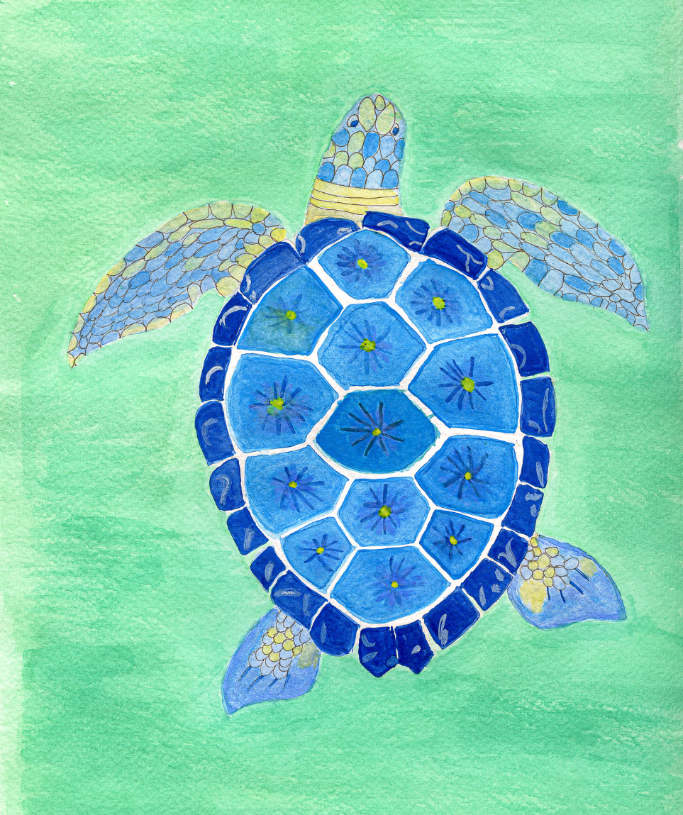 Tortuga
